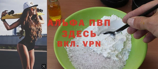 гидра Новозыбков