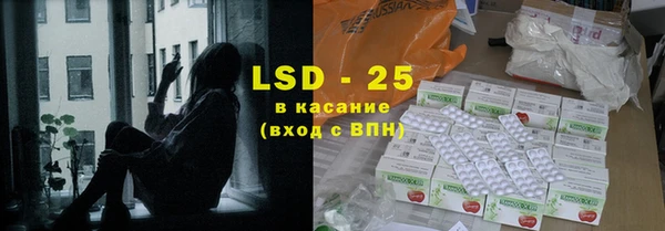 гидра Новозыбков