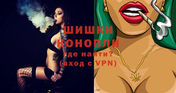 гидра Новозыбков