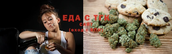 гидра Новозыбков