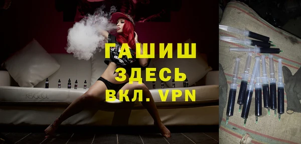 гидра Новозыбков