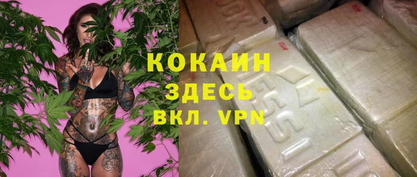 соль курить ск Новодвинск