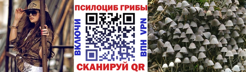 Галлюциногенные грибы Psilocybine cubensis  купить  сайты  Тарко-Сале 